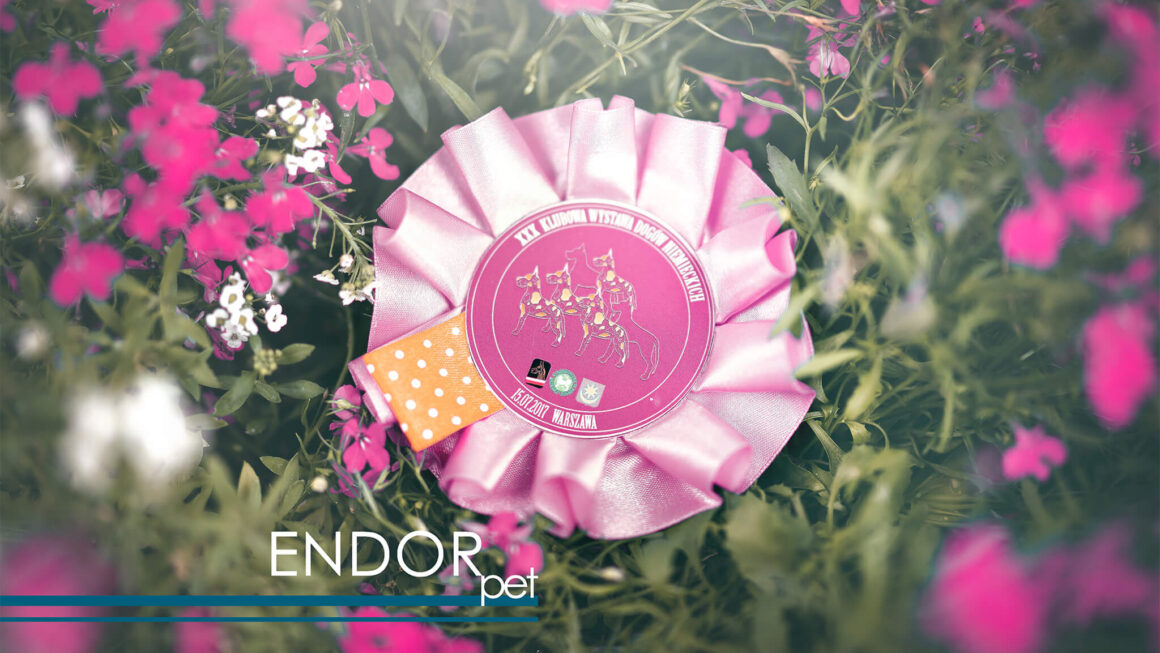 Krajowa Wystawa Psów Rasowych Racibórz 2025