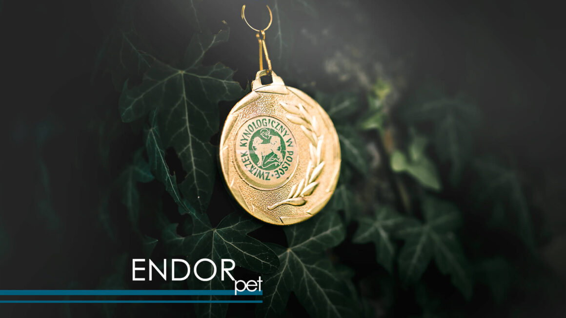 Międzynarodowa Wystawa Psów Rasowych Zakopane 2025