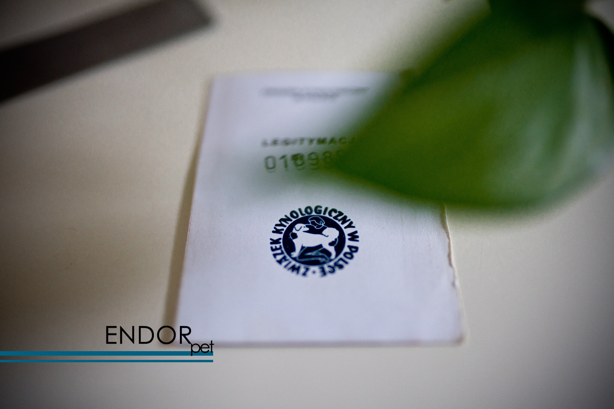 Legitymacja członkowska ZKwP