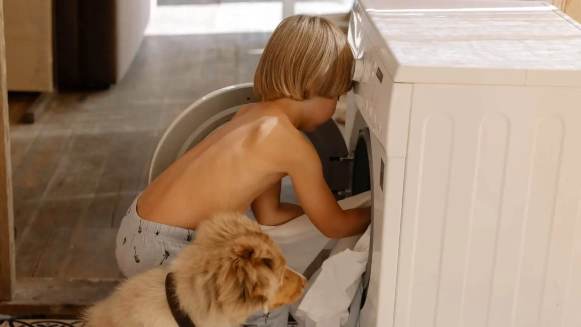 Pralka z funkcją pupil – Ranking na styczeń 2026