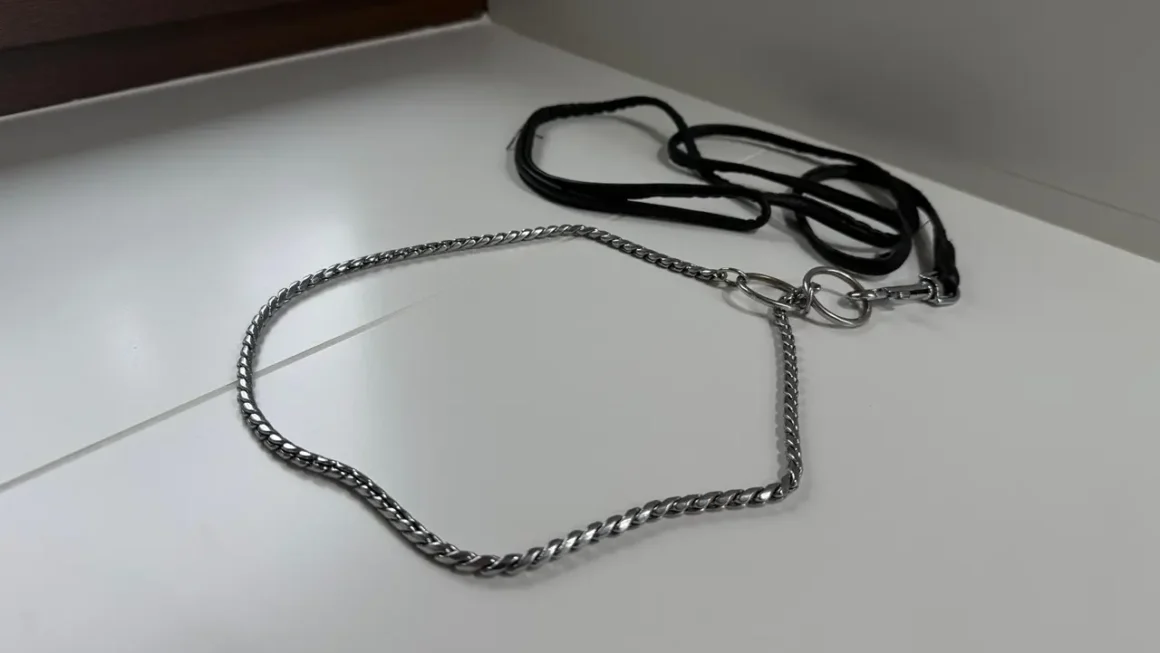 Co to ringówka? Praktyczny poradnik dla początkujących