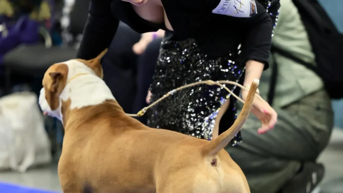 Jak zostać handlerem? Najważniejsze kroki i wskazówki