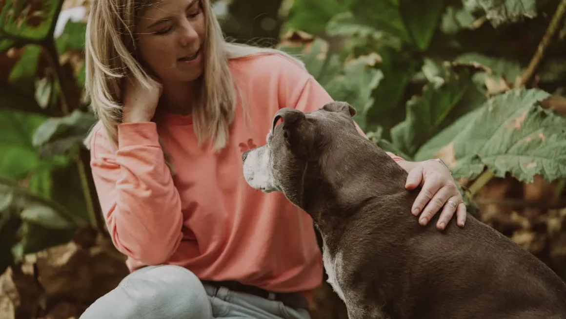 Ile trzeba zapłacić za hotel dla psa w 2026 roku?